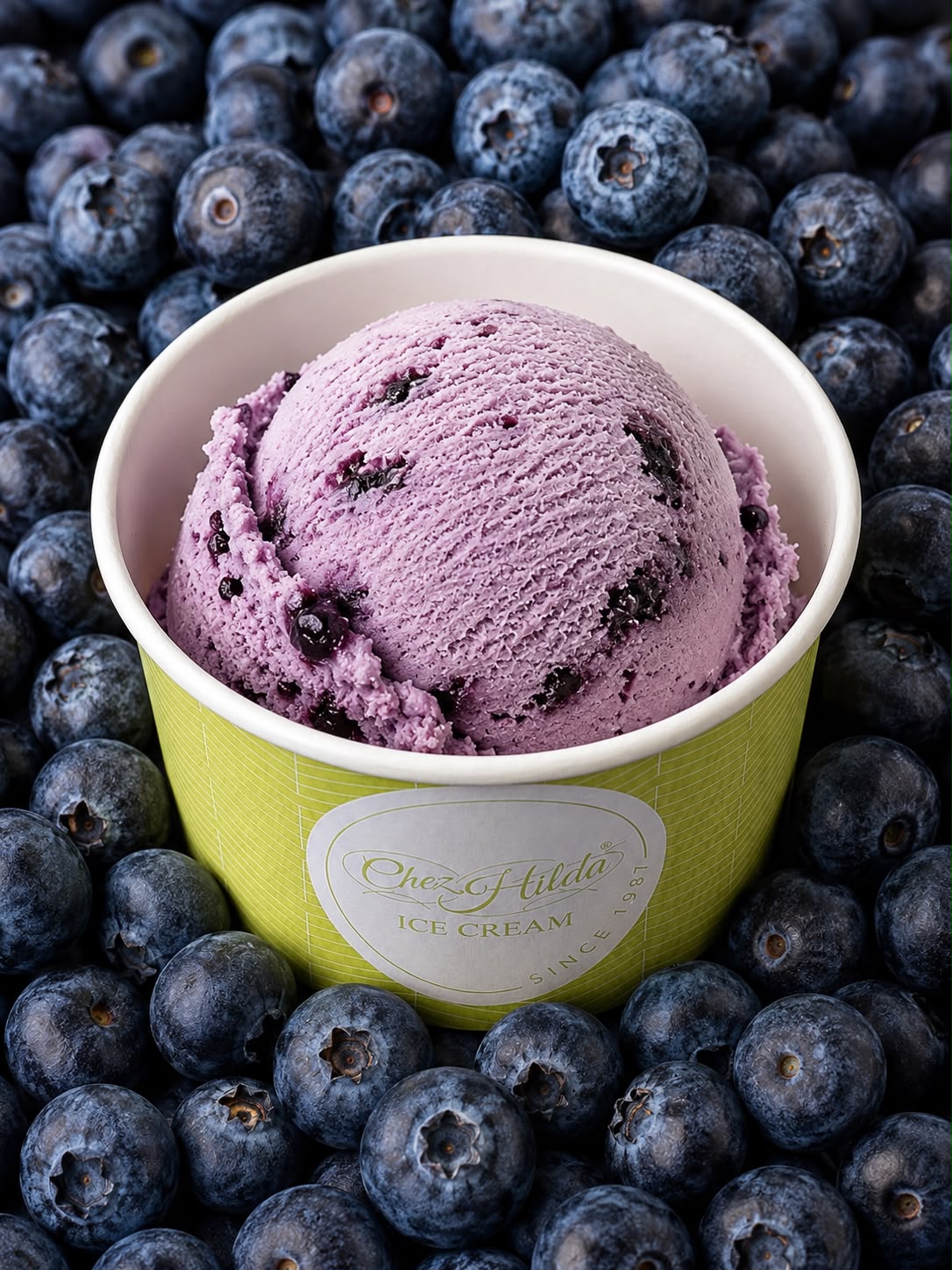 Blueberry ice cream scoop